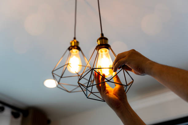 Best Local Electrician Companies  in Lake Sconsin, WI