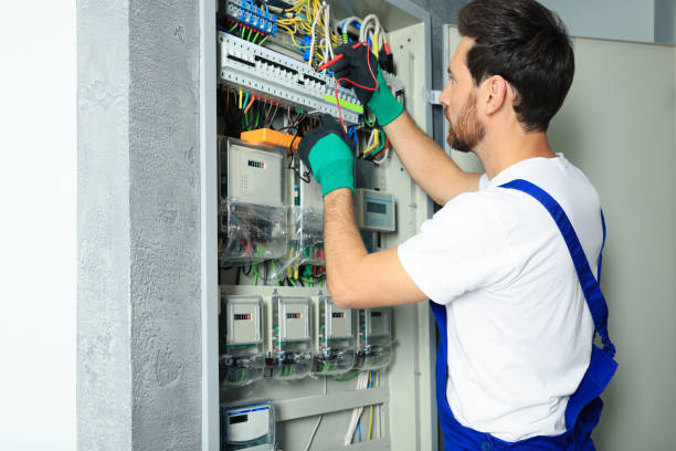 Best Electrical Wiring Services  in Lake Sconsin, WI