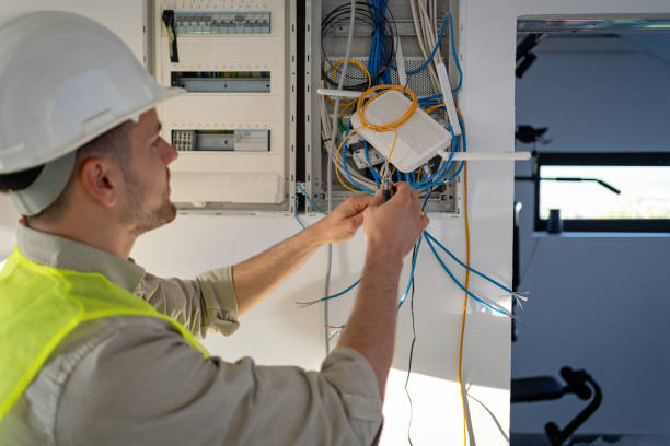 Best Electrician for Home Renovation  in Lake Sconsin, WI